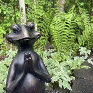 Namaste Frog & Ferns